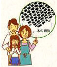 木は目にやさしく疲れません