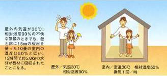 木は室内の湿度を調節します